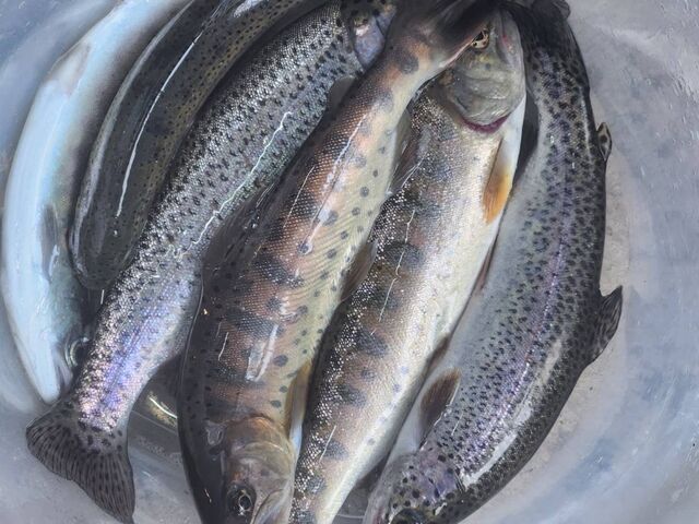 �ނꂽ������_�ނ�x�J�t�F�N���[�o�[