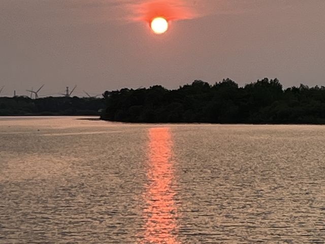 �[��_�Ƃꂽ�����ӂ����_��