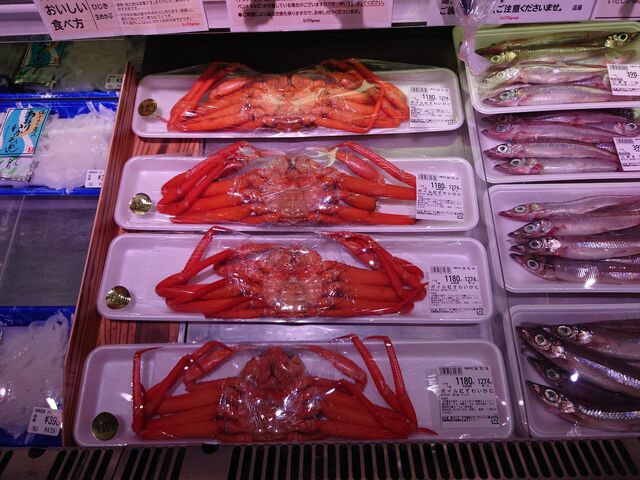 ̃oU[^E LKtbVق̓eʐ^1