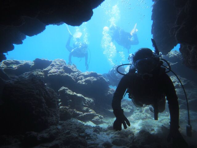 �g���l��������������点�Ă���܂�����_�_�C�r���O���J�k�[�X�蒃��