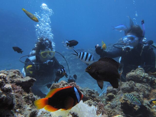 ��������ɉa���������Ă���܂�_�_�C�r���O���J�k�[�X�蒃��