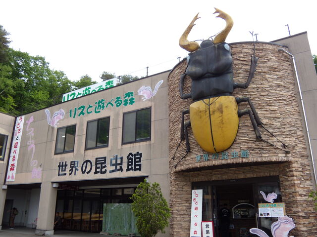 ���E�̍����ق̊O��_��ˍ��R�܂�̐X