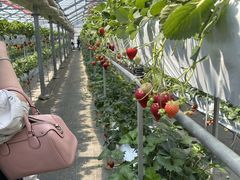 reeeȅaMn@cւ̓eʐ^2