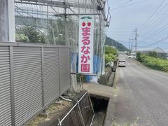 肿񂳂̂܂Ȃڎ艀ւ̓eʐ^1