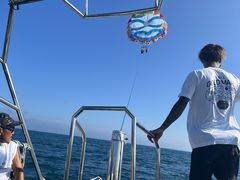 {ÓpZ[O all good marine 385̎ʐ^1