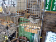 񂳂̔ˍR܂̐X̓eʐ^5