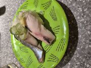 g̉]i Ԃ܂ 25X̓eʐ^2