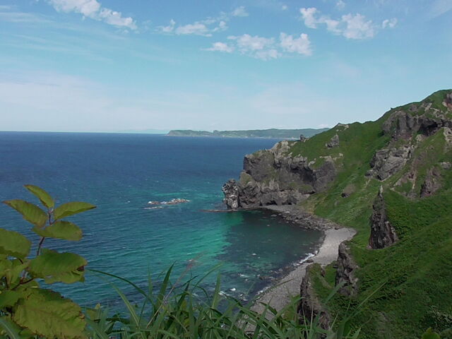 �Ύ�p_�ϒO��