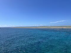 ݂񂳂̌cǊ(P})C攼cA[X@OPGւ̓eʐ^1