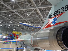 zin����̍q��v���U�ւ̓��e�ʐ^1