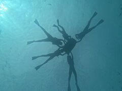 낲̖` ꑍAEghAcA[Xւ̓eʐ^1