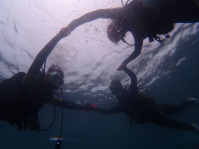 ȂłRlBeĂARn[gɂȂĂ܂I_DiveToday