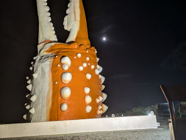 ��̃J�j�܂����X�������悩�����@�Ԓ�������ɂ����ԏ�傫�ߖ�Ԃ͐Â��ŗǂ�����_���̉w �I�z�[�c�N���