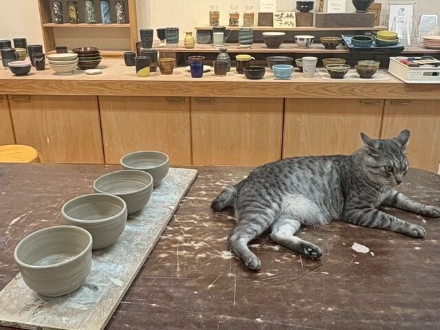 ���삵����ƔL�����_���їq