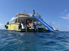 炳̌cǊ(P})C攼cA[X@OPGւ̓eʐ^1