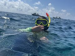 cǊ(P})C攼cA[X@OPG̎ʐ^2