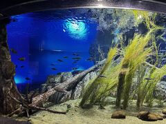 TP̂ӂ邳Ɛΐق̎ʐ^1