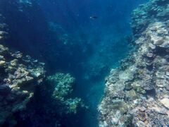 nutshells̐Ί_ ADVENTURE PiPiւ̓eʐ^1