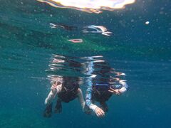 N̐Ί_ ADVENTURE PiPiւ̓eʐ^1