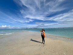 Pia̋{Ó}KChЂւ̓eʐ^1