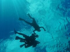 akouzai̐Ί_ ADVENTURE PiPiւ̓eʐ^1