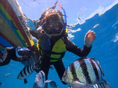 [񂳂̖` ꑍAEghAcA[Xւ̓eʐ^1