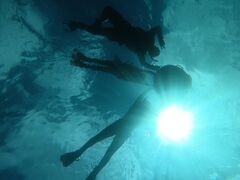 䂤}}̐Ί_ ADVENTURE PiPiւ̓eʐ^1