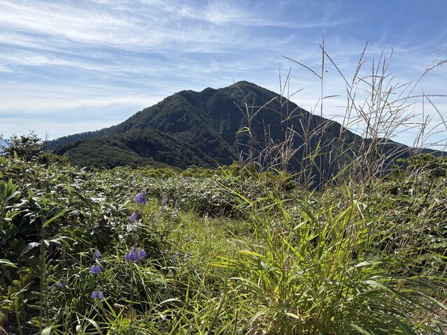 ���o�R�[�X�̓r���̏��r������r���x���B��܂����B������360�x�p�m���}�ł��B_�r���x