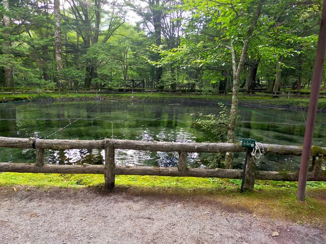 �΂Ɉ͂܂ꂽ����r_�����ȂƐX�̊ώ@��