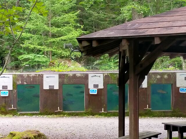 ���t���̋����Ɠ���_�����ȂƐX�̊ώ@��