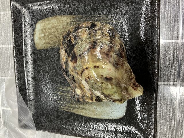 �A�R���L_PICOLABO