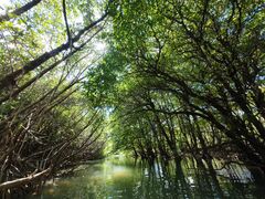 IK̐Ί_ ADVENTURE PiPiւ̓eʐ^1