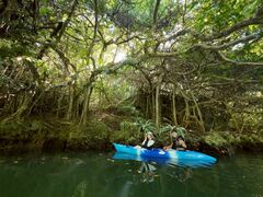 NbN̐Ί_ ADVENTURE PiPiւ̓eʐ^1