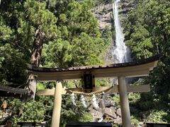 滝(那智の滝) 那智大滝 | わかやまの文化財