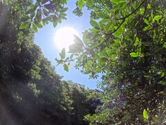 񂳂̐Ί_ ADVENTURE PiPiւ̓eʐ^1