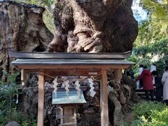 �ЂȂ���񂳂�̗��{�_�Ђ̑��ւ̓��e�ʐ^1