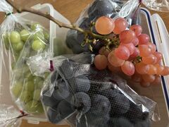 MiyôЃt@[ւ̓eʐ^1