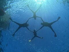 ܂Diving@Shop Leii_CrOVbvCjւ̓eʐ^1