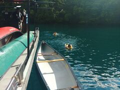 ̂肷̃Oh@RIB Tripւ̓eʐ^2