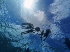 R̐Ί_ ADVENTURE PiPiւ̓eʐ^1