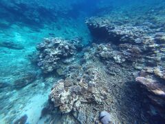 R̐Ί_ ADVENTURE PiPiւ̓eʐ^2