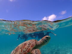 [SUNSHINE MARIN {Óւ̓eʐ^1