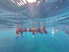 ܂͂̐Ί_ ADVENTURE PiPiւ̓eʐ^1