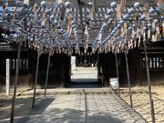 ���݂��񂳂�̔����_�Ђ̓��e�ʐ^2