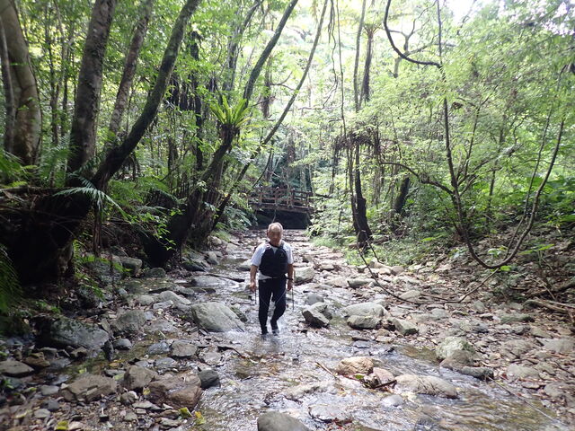 ��̗l�q���A���肵�Ă��ĕ����₷�������ł��B_���΂�V�я��@����