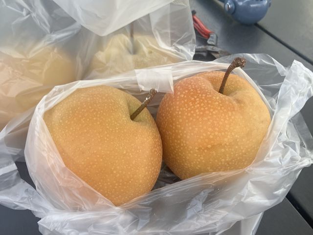 ���y�Y��2�����܂����B�傫�������ł��B_�t���[�c�K�[�f����܂���