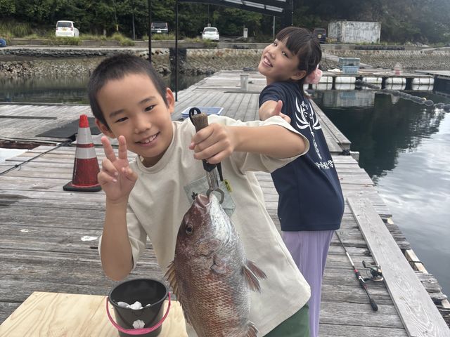 ���h�ȑ�ނ�܂����B_�ނ���� ������