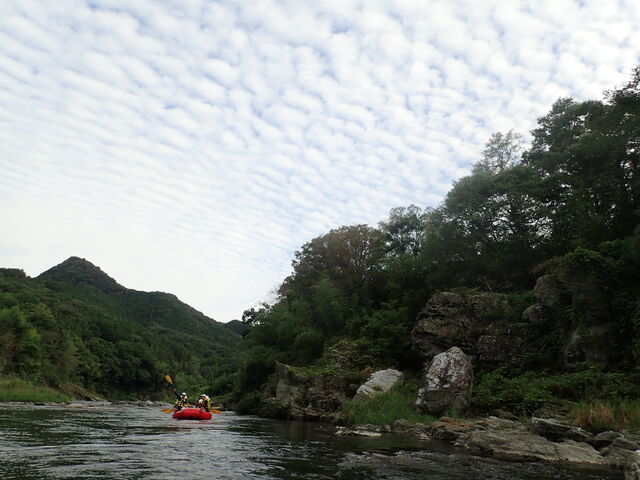 ���₩�ȗ���ł݂͂�Ȃő���_�A���X�n�E�X���t�����Y