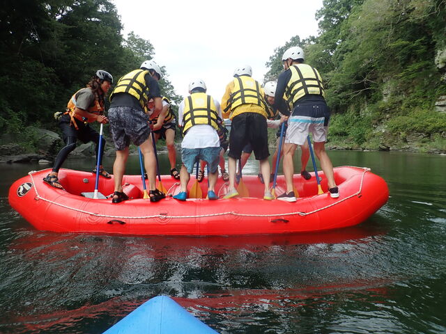 �A�g���N�V��������������_�A���X�n�E�X���t�����Y