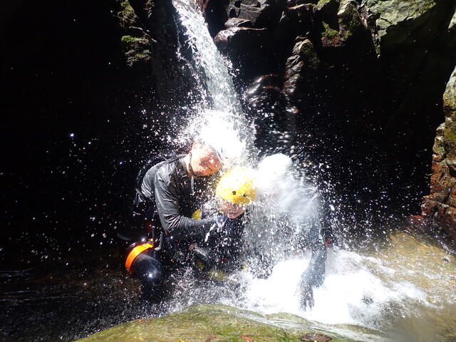 ��C�s�H_���΂�V�я��@����